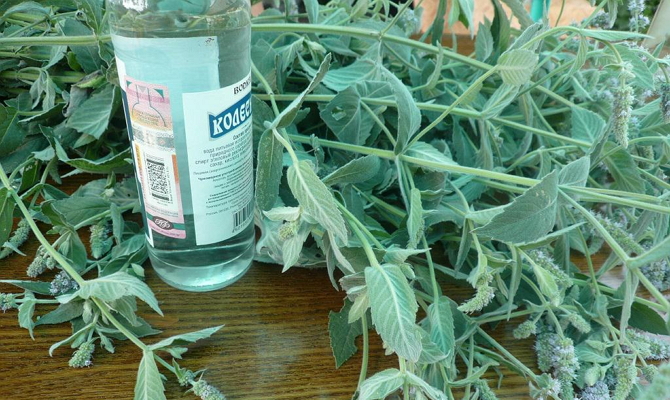 Делаем различные коктейли с ликерами