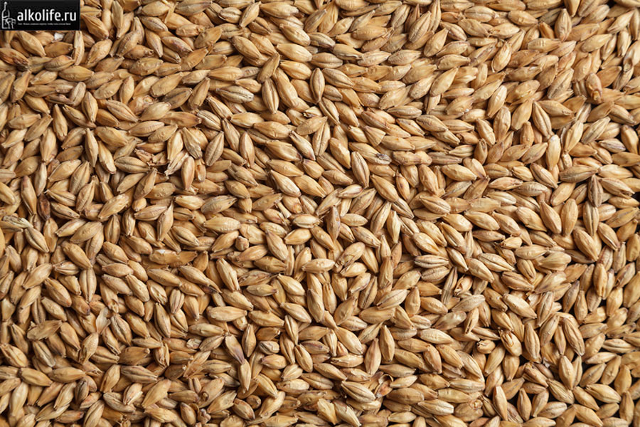 Как изготовить солодовый самогон