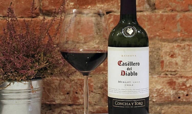 Обзор чилийского вина