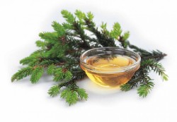 Делаем настойку на сосновых шишках