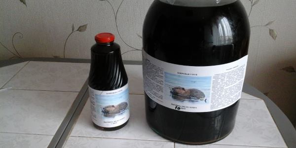 Как принимать бобровую струю