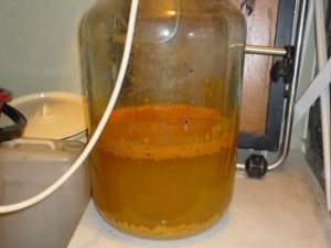 Как приготовить вино из облепихи