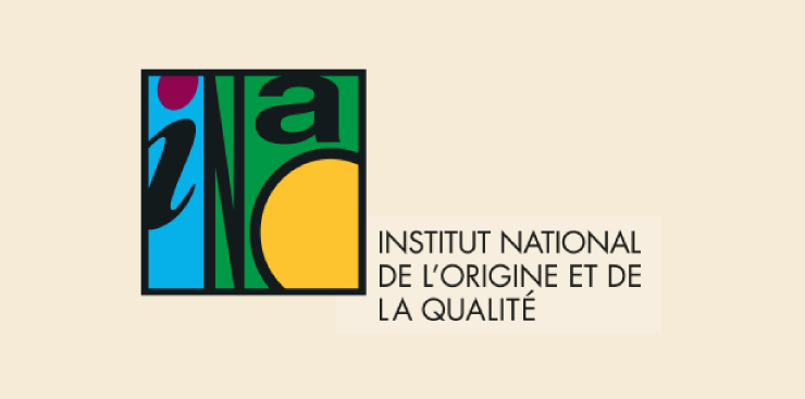 Какое самое дорогое шампанское в мире