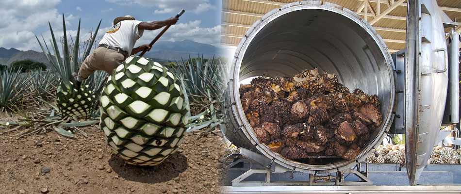 Обзор текилы Espolon Blanco и Reposado