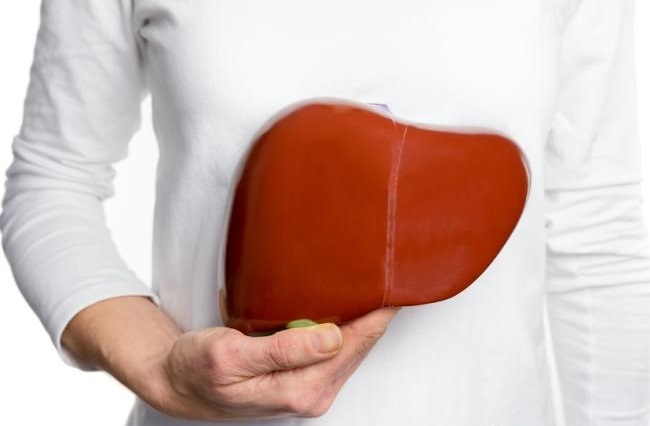 Как долго выветривается алкоголь из организма