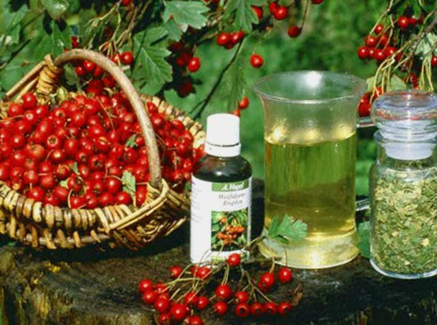 Как помочь бросающему пить алкоголику