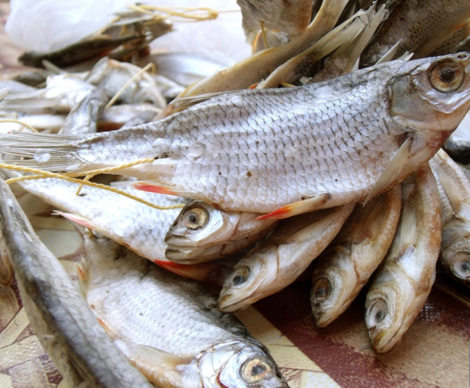 Названия рыбы к пиву