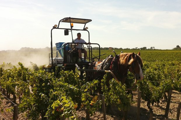 Органика и биодинамика