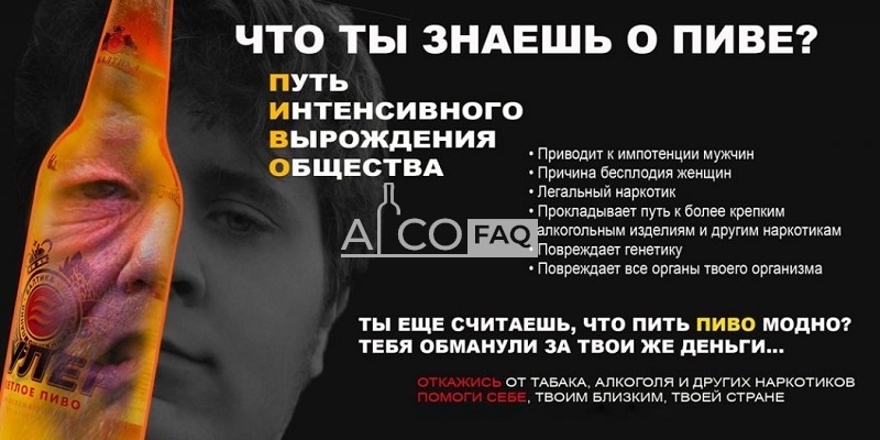 Вредно ли пить пиво