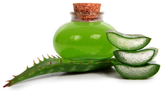 текила из самогона из листьев алоэ