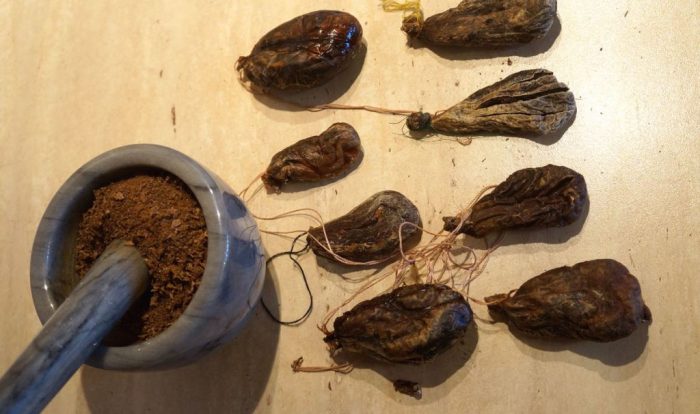 Как принимать бобровую струю