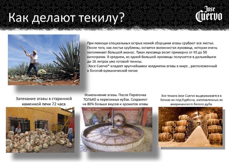 Как и из чего сделать текилу