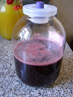 Вино из забродившего вишневого компота