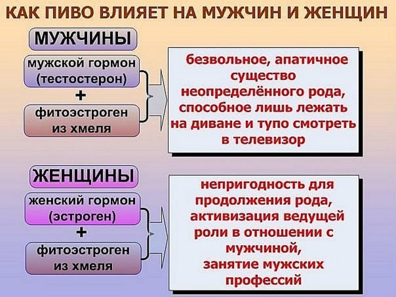 Как пиво влияет на организм женщин и мужчин