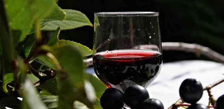 Рецепты домашних ликеров из рябины