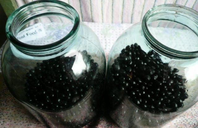 Рецепты домашних ликеров из рябины