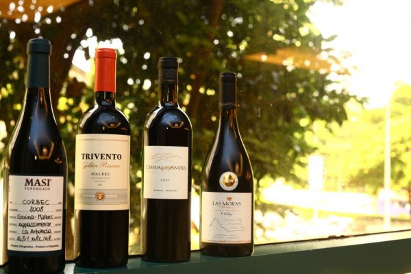 Обзор вина Мальбек