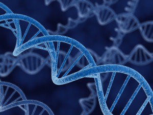 Почему быстро пьянеешь от алкоголя