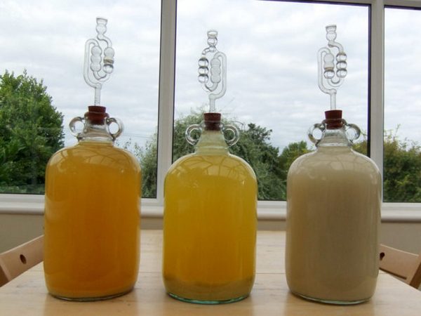 Как приготовить настойку из айвы на самогоне и водке