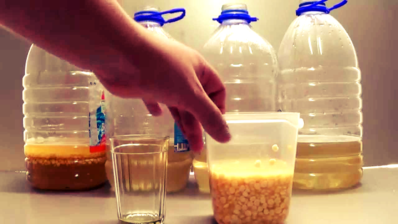 Рецепты самогона на горохе