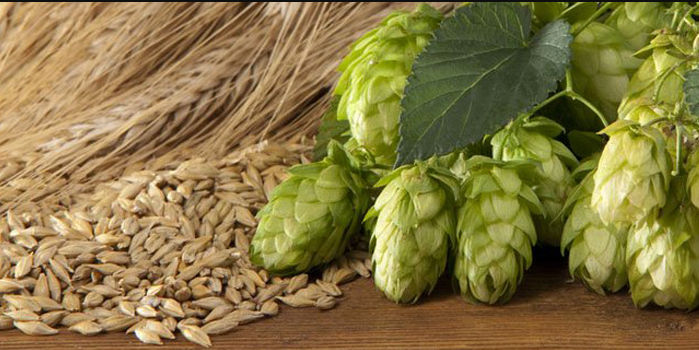 Как изготовить солодовый самогон