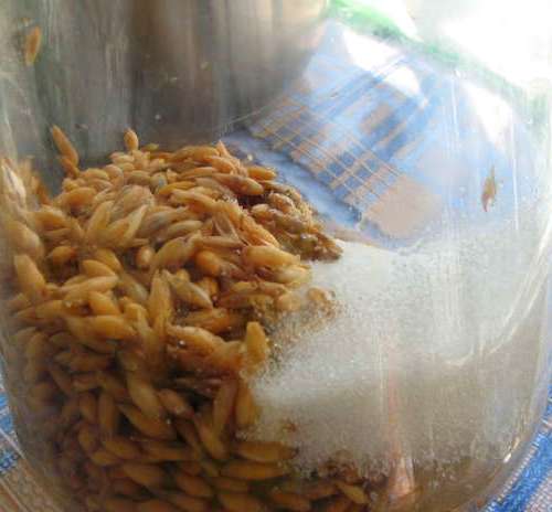 Рецепт овсяного кваса