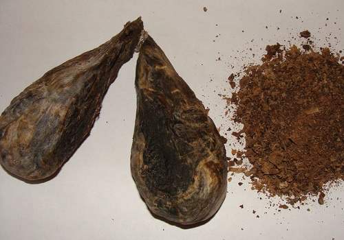 Как принимать бобровую струю