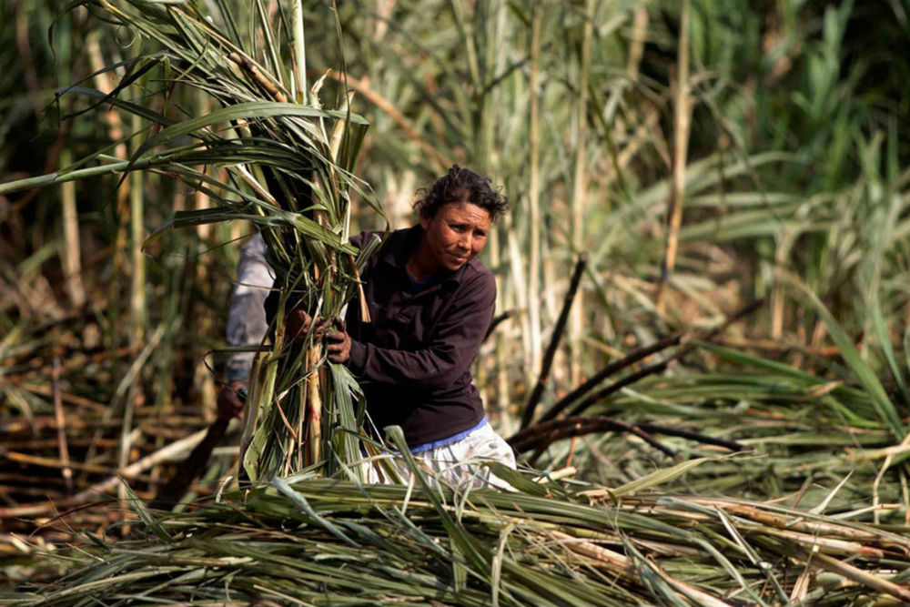Как выбрать лучший ром