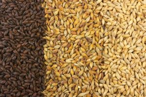 Основные этапы производства пива