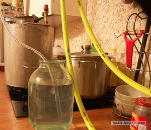 При какой температуре погибают дрожжи