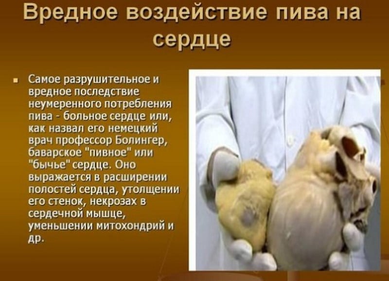 Как пиво влияет на организм женщин и мужчин