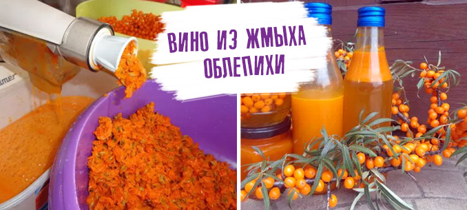 Как приготовить вино из облепихи