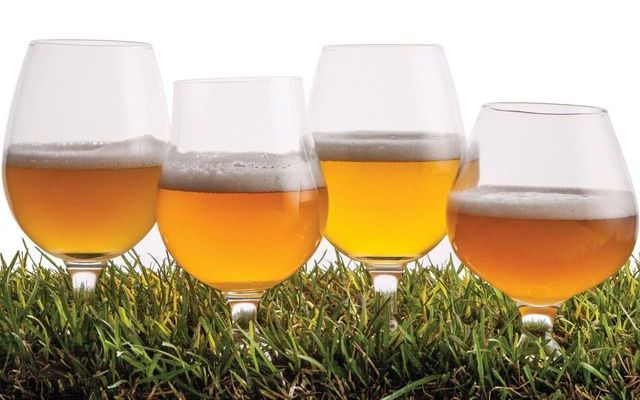Лучшие марки немецкого пива