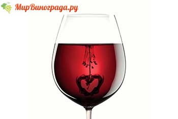 Готовим вино из винограда Изабелла