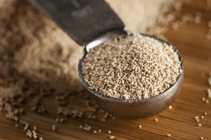 Лучшие дрожжи для самогона