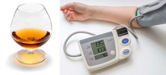 Как коньяк влияет на артериальное давление
