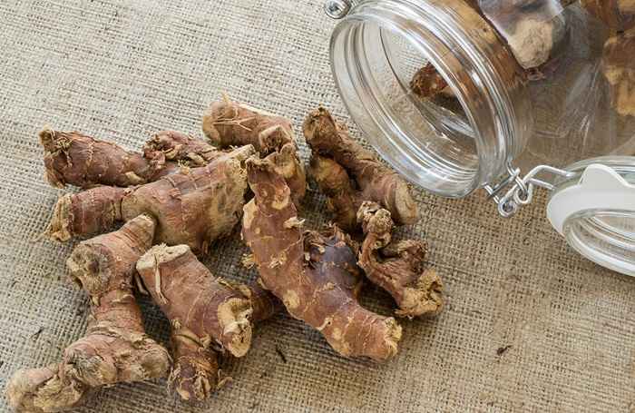 Как приготовить калгановую настойку