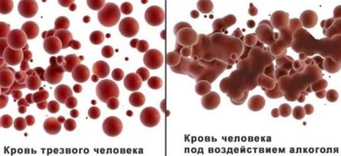 Как алкоголь действует на кровь