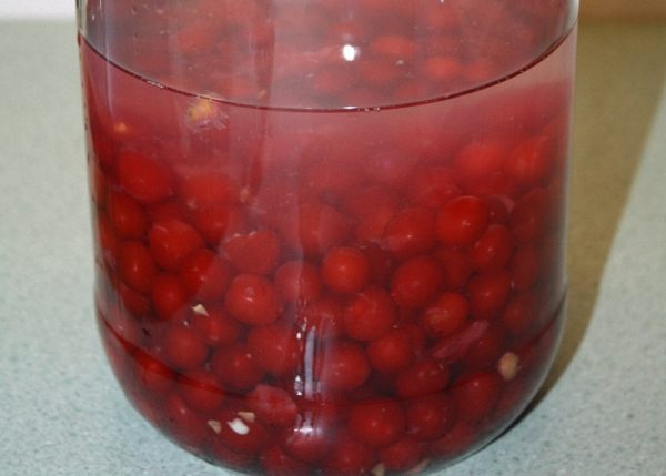 Готовим настойку из брусники