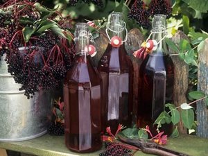 Настойки из красной и черноплодной рябины