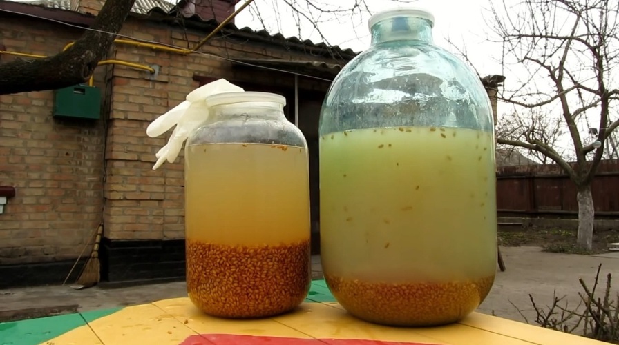 Как определить готовность браги к перегонке