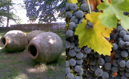 Вино Саперави