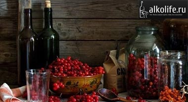 Как приготовить вино из смородины