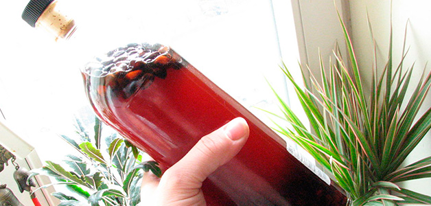 Вкусные рецепты самогона на кедровых орехах