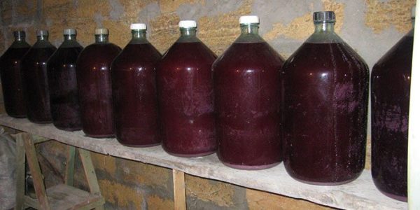 Рецепт приготовления вина из калины