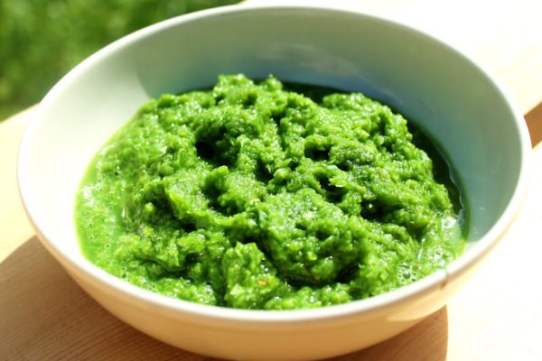 Рецепты настойки с алоэ