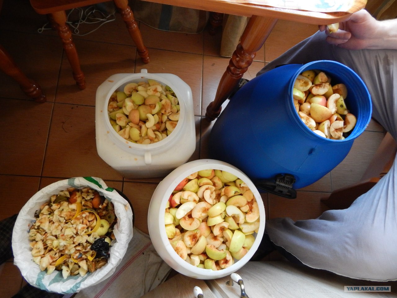 Делаем самогон из яблок