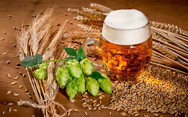 Лучшие марки немецкого пива