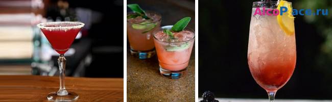 Рецепты коктейлей с джином