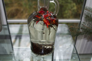 Домашние рецепты перцовки